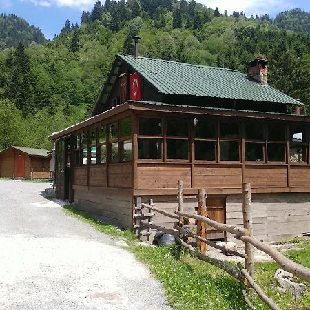 Villa Kardelen Bungalov Evleri̇ Ayder Yaylasi Exterior foto