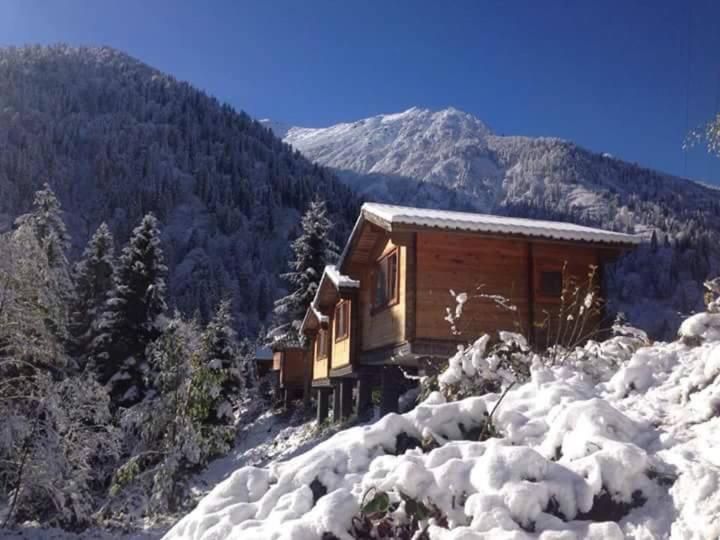 Villa Kardelen Bungalov Evleri̇ Ayder Yaylasi Exterior foto