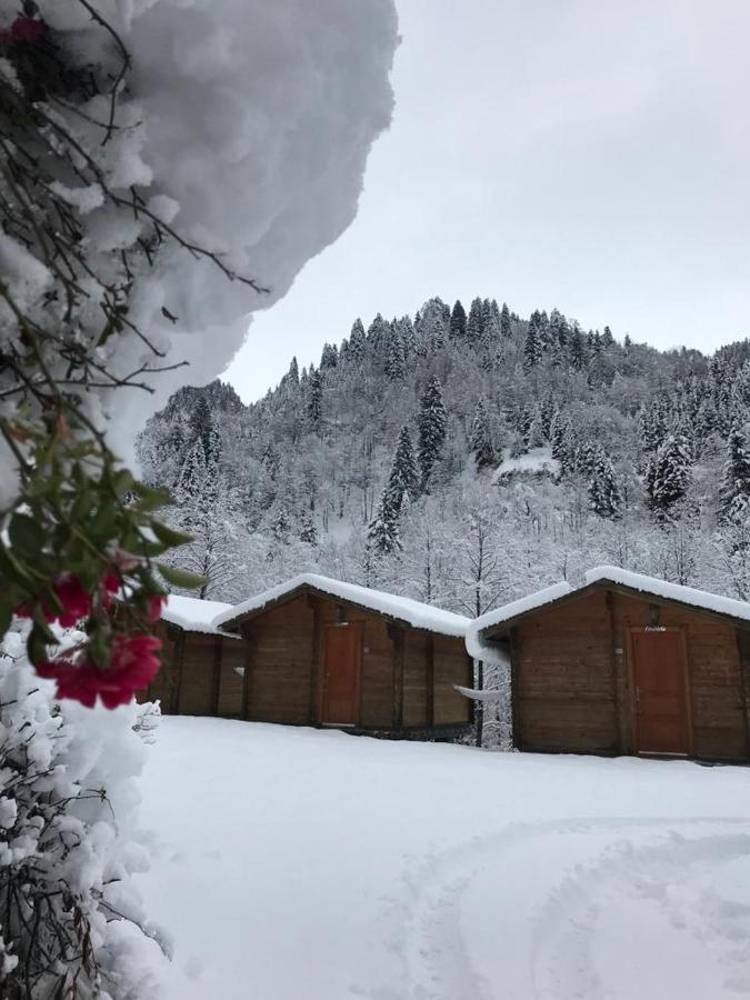 Villa Kardelen Bungalov Evleri̇ Ayder Yaylasi Exterior foto