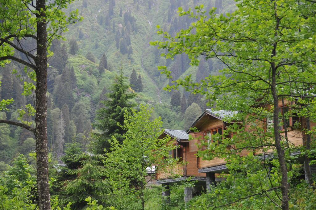 Villa Kardelen Bungalov Evleri̇ Ayder Yaylasi Zimmer foto